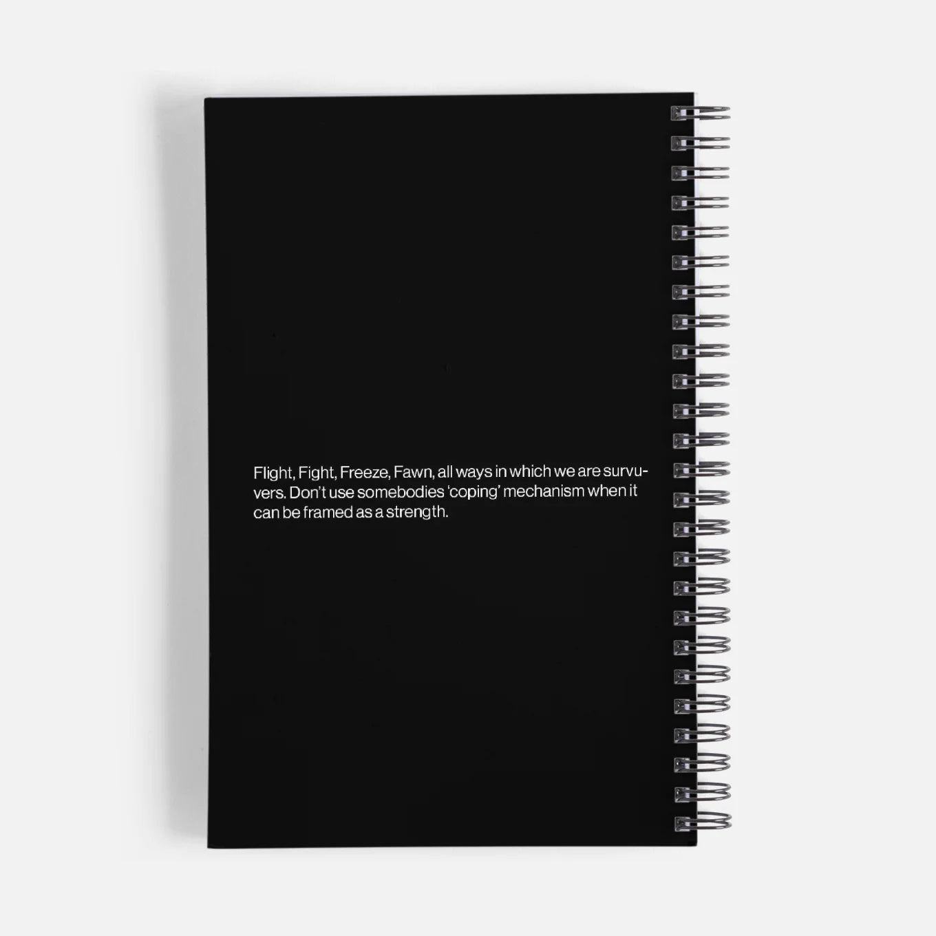 Sam and Syd Journal 10