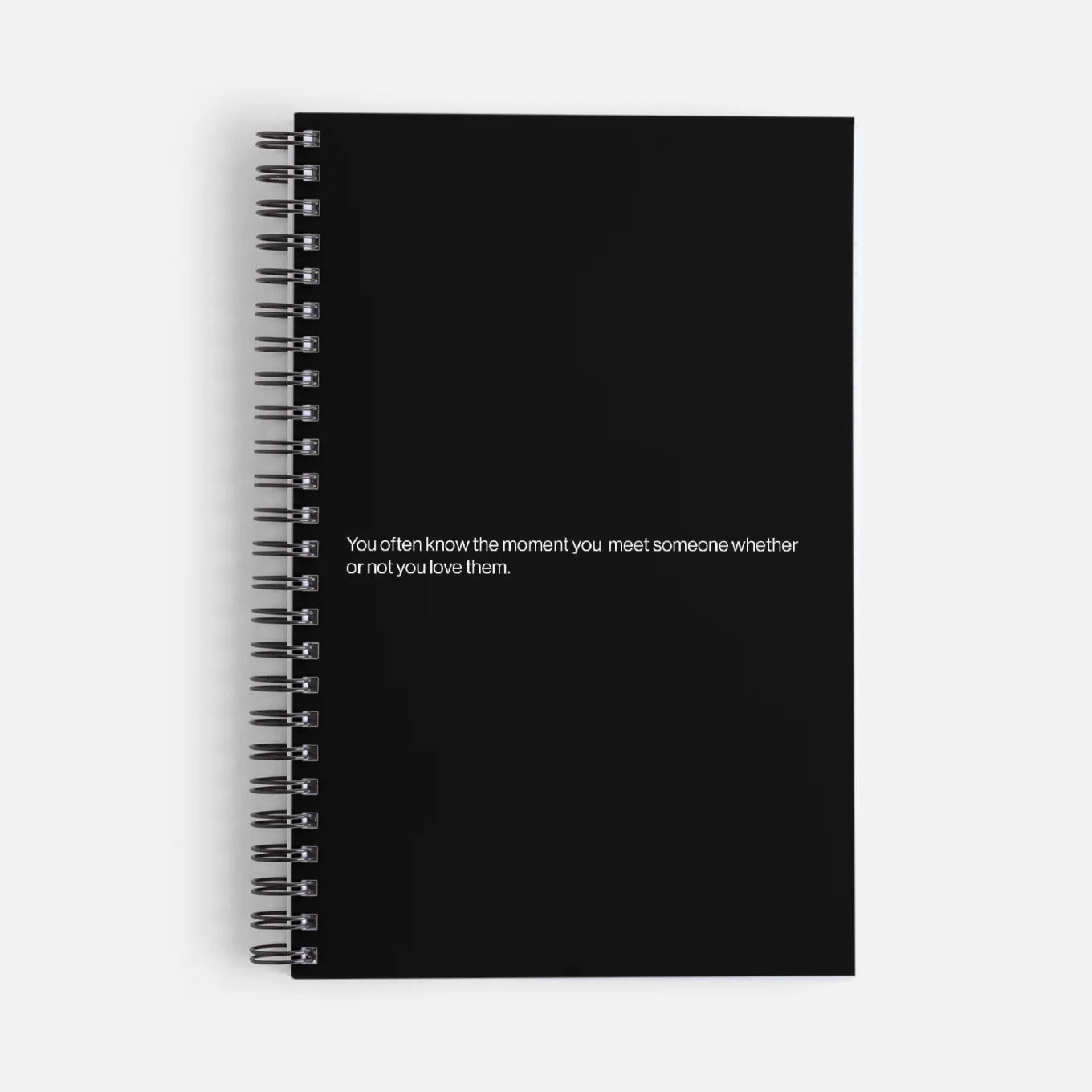 Sam and Syd Journal 11