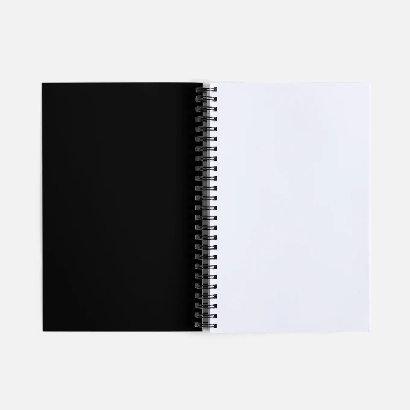 Sam and Syd Journal 3